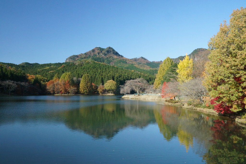 🏛️ 우쓰노미야 미술관 (우쓰노미야 비주쓰칸) 이미지 8